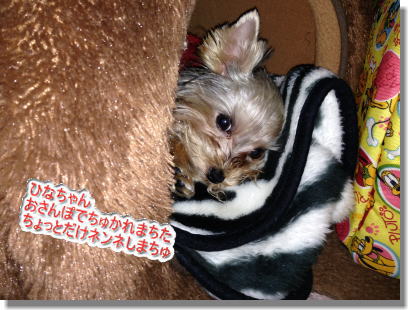 20131222006.jpg