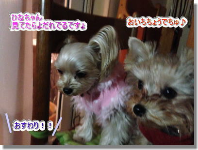 20131222008.jpg