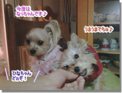 20131222009.jpg