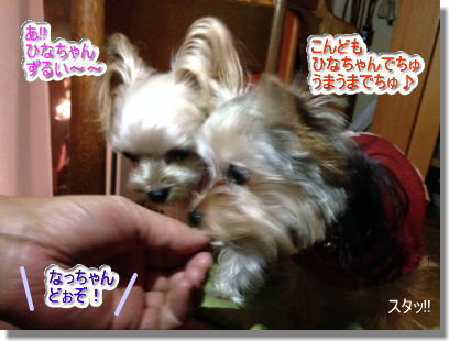 20131222010.jpg