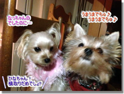 20131222011.jpg