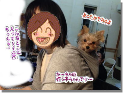 20131222012.jpg