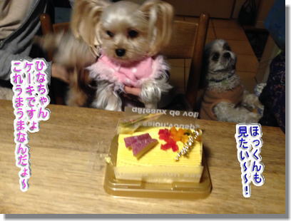 20131222015.jpg