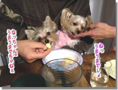 20131222016.jpg