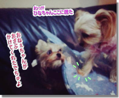 20131222018.jpg