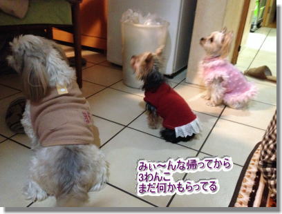 20131222021.jpg
