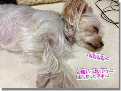 20131222022.jpg