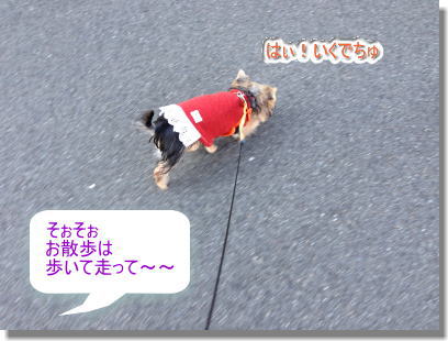 20131222#1005