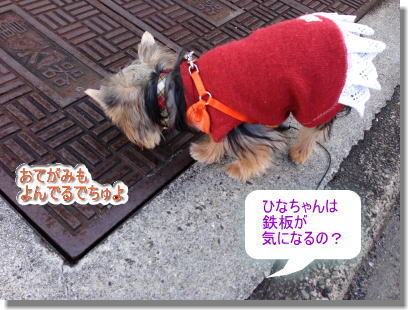 20131222#1009