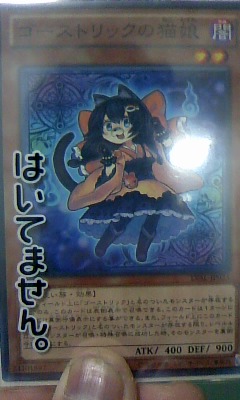 猫娘1