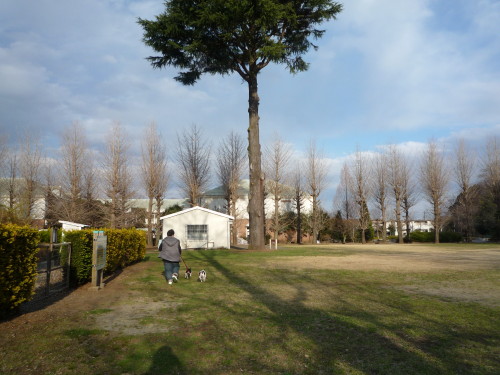 kanon0329/9
