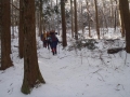 P1100005s.jpg