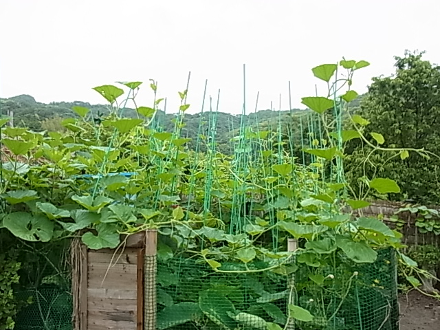 2013-06-26 10.16.04