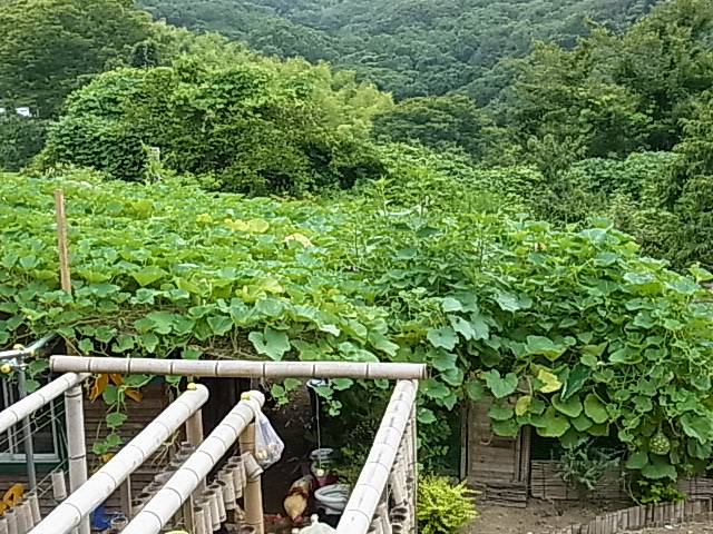 2013-07-24 10.35.22