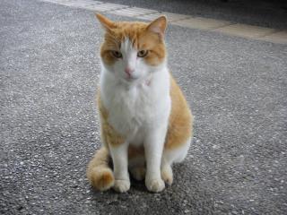 台湾201203-10