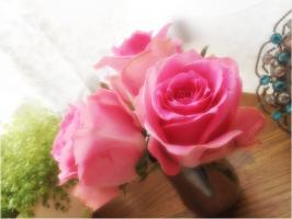 写真 (12)