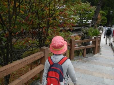 20141005120126873.jpg