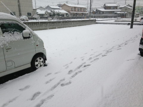 2014020820430456b.jpg