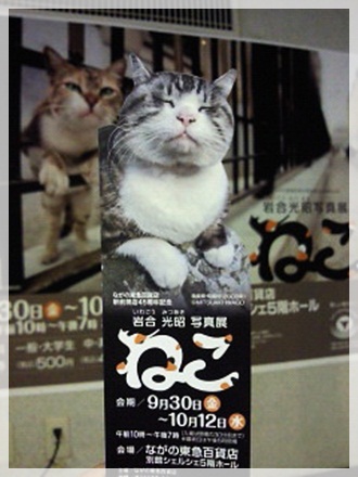 201110071324000.jpg