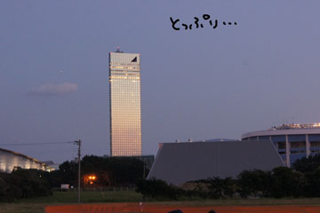 DSC07574-13.jpg