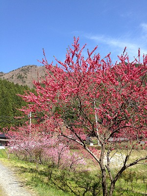 IMG_5443.jpg