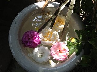 IMG_6676.jpg