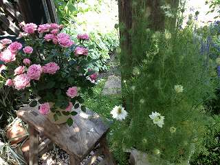 IMG_6677.jpg