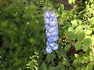 IMG_6686.jpg