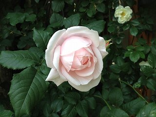 IMG_6687.jpg