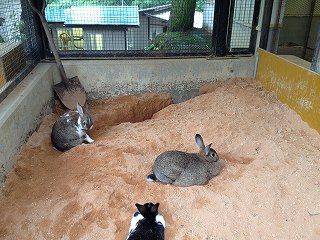 IMG_8046.jpg
