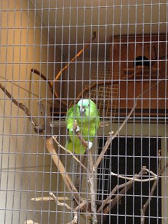 IMG_8048.jpg