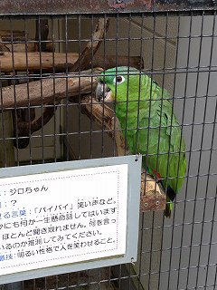 IMG_8049.jpg