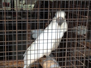 IMG_8055.jpg