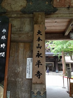 IMG_8088.jpg