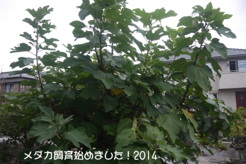 P1080671.jpg