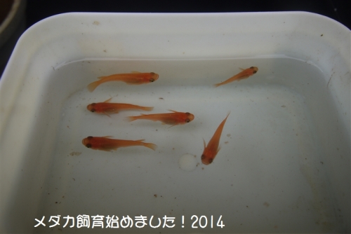 P1080727.jpg