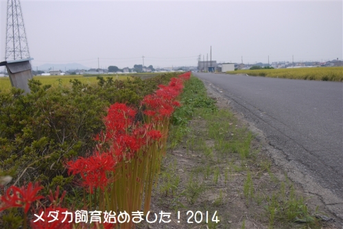 P1080792.jpg