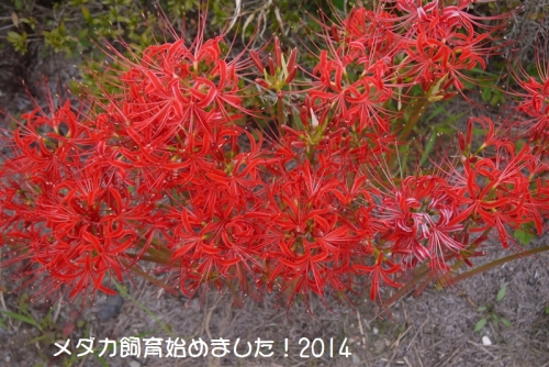 P1080793.jpg
