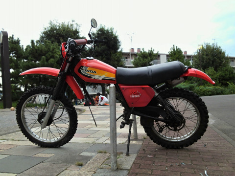 DCIM0217.jpg