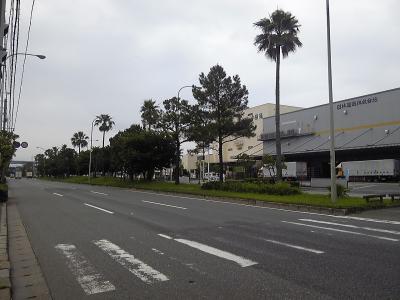 SH3B0297.jpg
