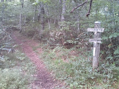 2-CA3D0166.jpg