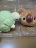 kame&yucchi