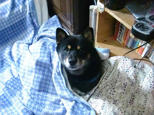 ん、ん?