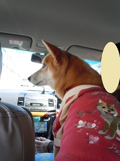 車内