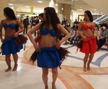 paluna7