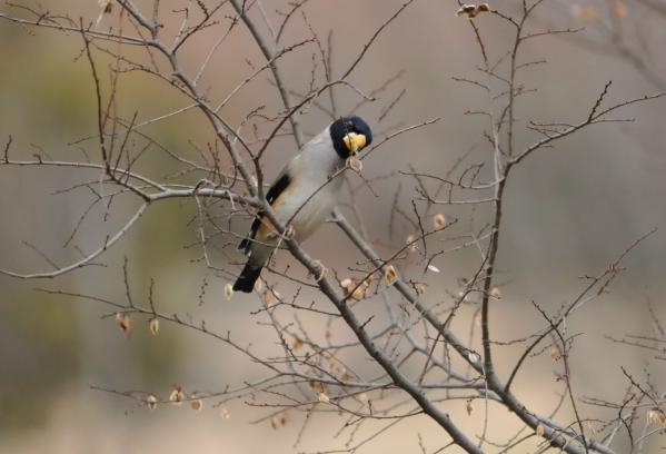 DSC_1715_sh01.jpg