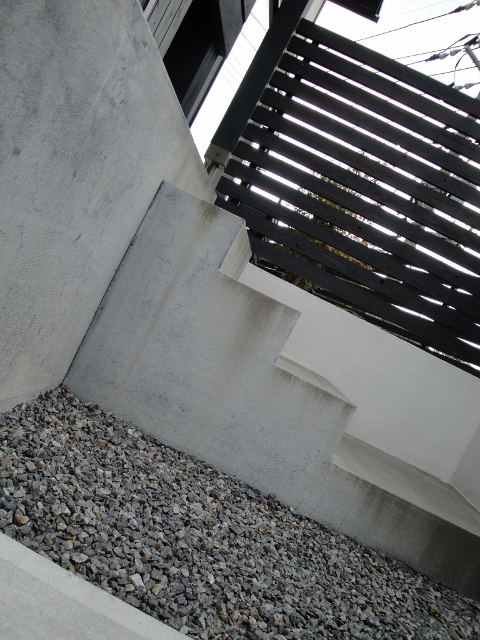 DSC09632 (480x640)