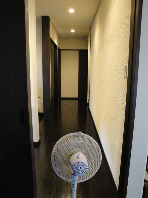 DSC09720 (480x640)