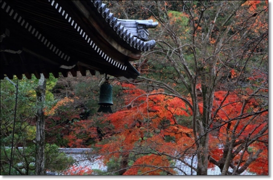 20131128na-2