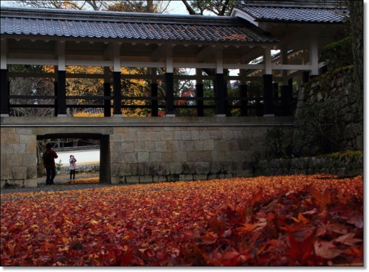 20131128na-4